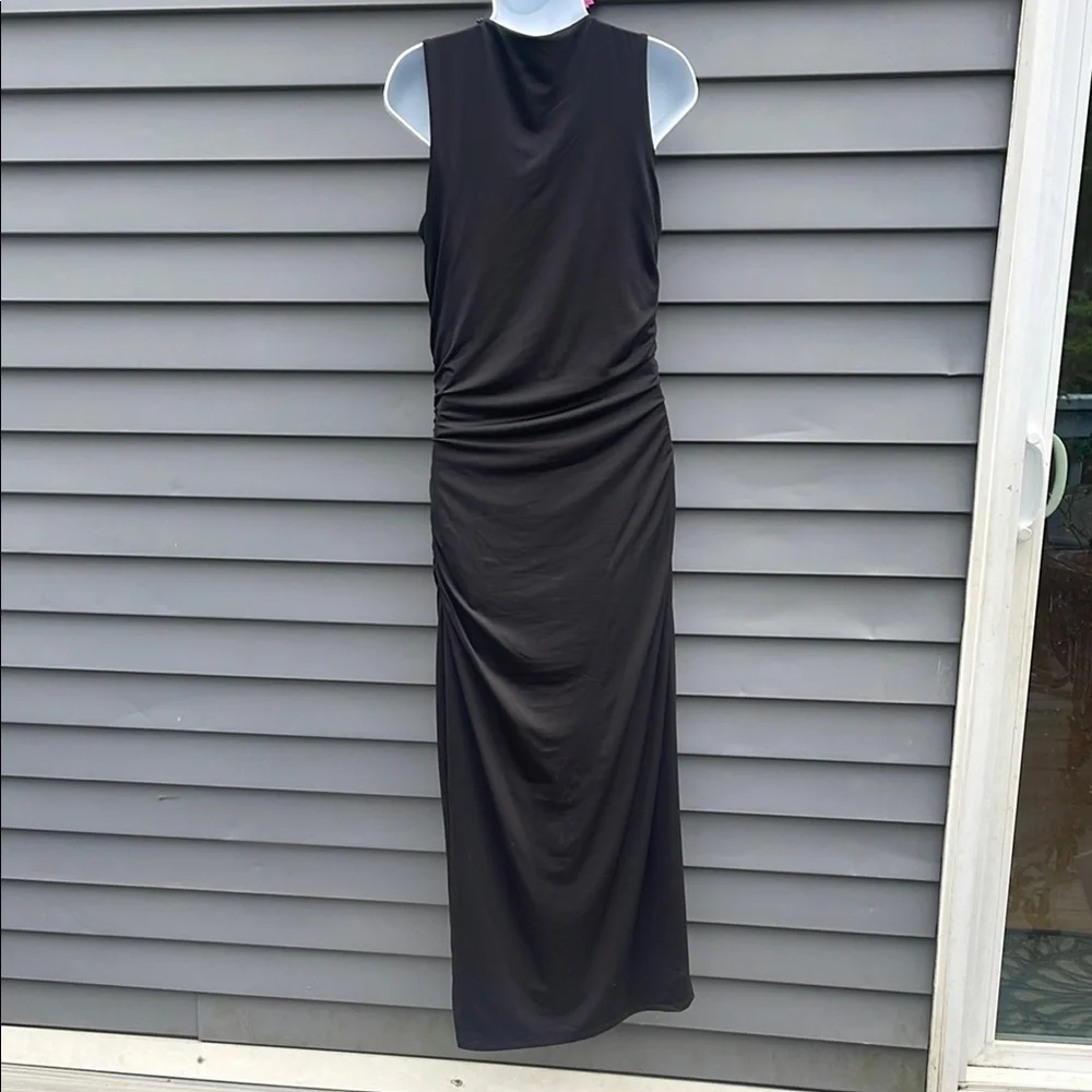 Avln Studio (Stitch Fix) Lolita Ruched Fitted Dress